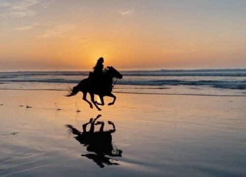 Horseback Ride on the Beach with Hotel Pickup Agadir & Taghazout
