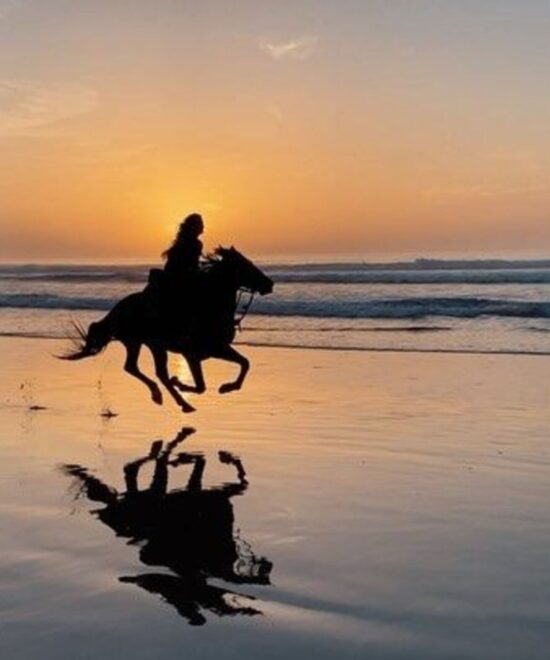 Horseback Ride on the Beach with Hotel Pickup Agadir & Taghazout