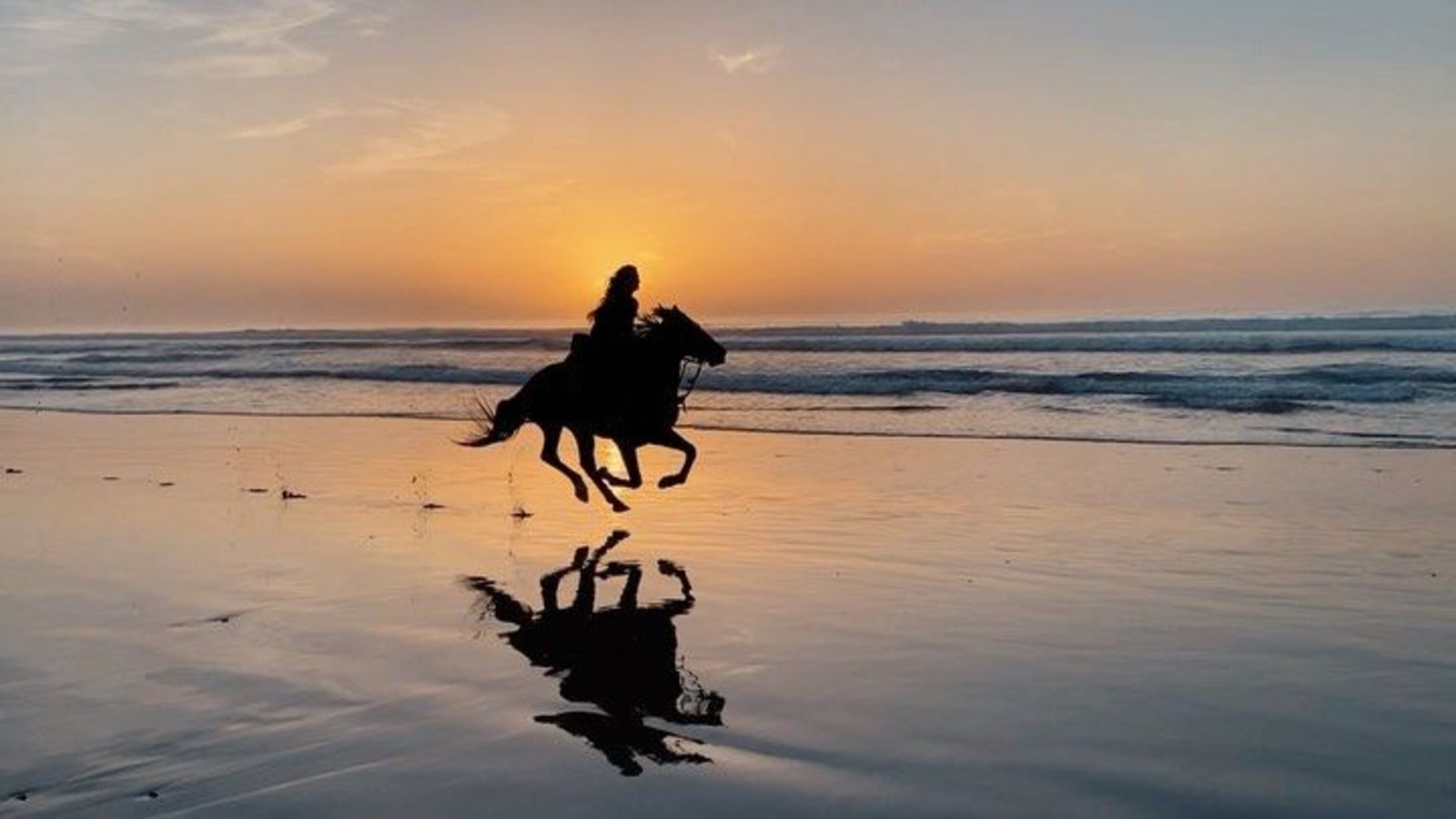 Horseback Ride on the Beach with Hotel Pickup Agadir & Taghazout